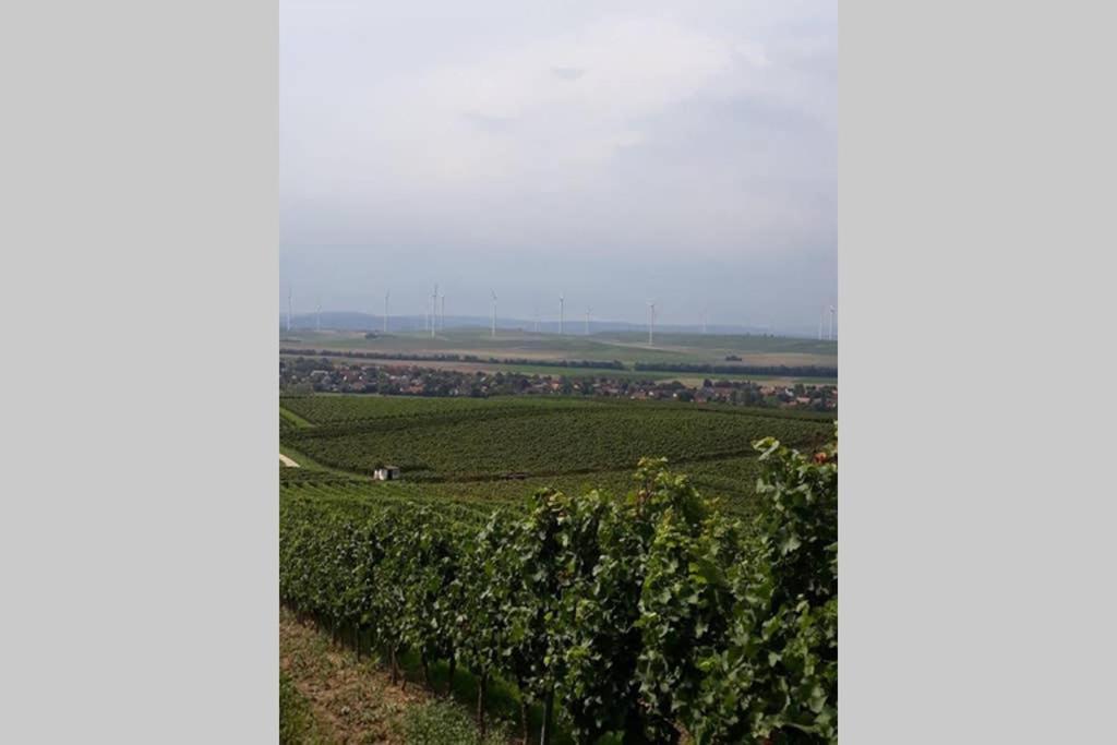 Ferienwohnung Wohlfühlen im rheinhessischen Backsteinhaus Armsheim Exterior foto